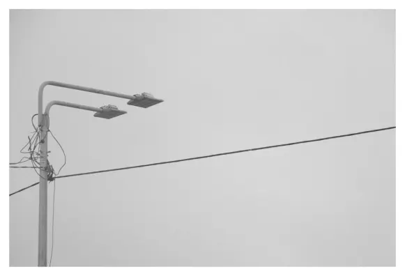 Casino Spin 247 Supporto